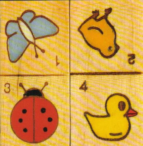 Nits - Desert Island Song Lyrics - Zortam Music