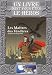 Loup Solitaire, Tome 1 : Les Maîtres des Ténèbres
