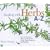 Healing With Herbs A-Z: How to Heal Your Mind and Body With Herbs, Home Remedies, and Minerals (Hay House Lifestyles)