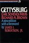 Gettysburg (American History Through Literature)