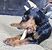 Sudopo JimHodgesDogTraining Grade A Elk Antlers for Dogs - Whole - Large