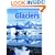 Glaciers