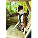 Kurgo Tru-fit Dog Harness, Large (for Dogs 50 to 80 Pounds), Black