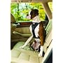 Kurgo Tru-fit Dog Harness, Large (for Dogs 50 to 80 Pounds), Black