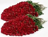 Send Fresh Cut Flowers - 400 Long Stem Red Roses