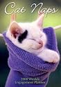 Cat Naps 2008 Weekly Engagement Planner