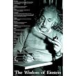 Albert Einstein (Words of Wisdom) Art Poster Print - 24x36