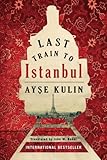 Last Train to Istanbul: A Novel