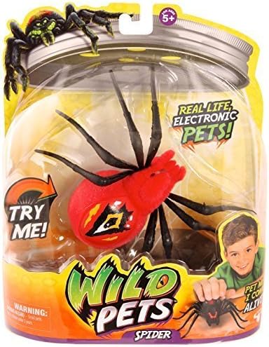 Wild Pets Spider - Eyegore by Wild Pets