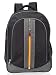 School Bags for High School - Cosmus Alexander School Bag for Boys (Black) RS.799.00