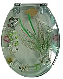 Tools & Hardware : American Trading House WPL-12 Pollyresin Toilet Seat Butterfly in the clear skies with Chrome Hinges