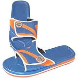 My Team Florida Gators Slides