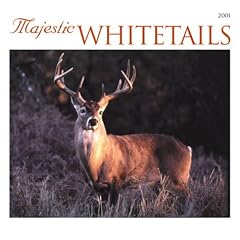 Majestic Whitetails