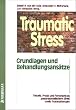 Traumatic Stress: Grundlagen und Behandlungsans�tze. Theorie, Praxis, Forschung zu posttraumatischem Stress und Traumatherapie