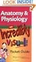 Anatomy & Physiology: An Incredibly Visual! Pocket Guide (Incredibly Easy! Series)