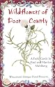 Wildflowers of Door County: Wisconsin's Unique Floral Preserve