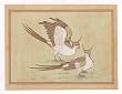 Asian Art Miniatures India Folk Paintings Drawings & Water Color on Paper 7 x 9.5 inches