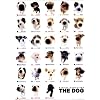 THE DOG / コレクション [ポスター]