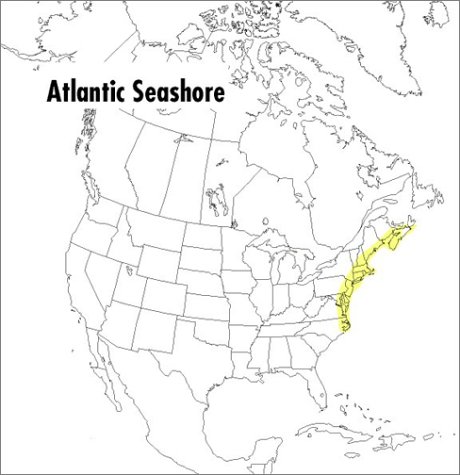 A Field Guide to the Atlantic Seashore: From the Bay of Fundy to Cape Hatteras (Peterson Field Guides (R)) under General in The Books Store