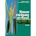 Wasserreinigung mit Pflanzen