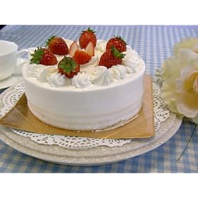 �嗝�Ή�]��y���M�����[�z�i10�C���`�^�C�v�j