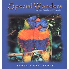 Special Wonders of Our Feathered Friends