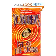 Eye of the Storm (Hudson Family, Book 3)