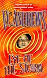 Eye Of The Storm (Hudson, Book 3)