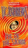 Eye Of The Storm (Hudson, Book 3)