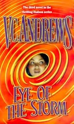 Eye Of The Storm (Hudson, Book 3)