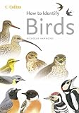 Cover of How to Identify Birds by Nicholas Hammond 000719448X