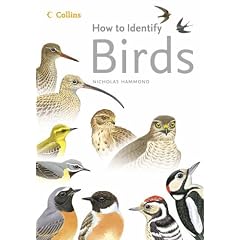 How to Identify - Birds