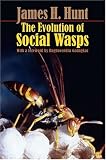 The Evolution of Social Wasps