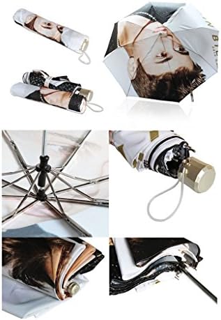 Sylva Devon Windsor Custom Foldable Rain Umbrella Wind Resistant Windproof Floding Travel Umbrella