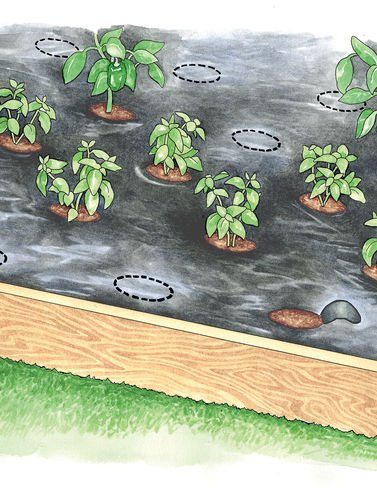 Easy-Plant Weed Block Mulch Easy-Plant Weed Block Mulch