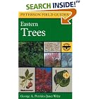 Click here to buy A Field Guide to Eastern Trees (Peterson Field Guides) by George A. Petrides, Janet Wehr, and Roger Tory Peterson.