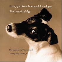If Only You Knew How Much I Smell You: True Portrait of Dogs