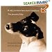If Only You Knew How Much I Smell You: True Portrait of Dogs