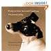 If Only You Knew How Much I Smell You: True Portraits of Dogs