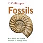 Fossils (Collins GEM)