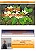 How to Paint Flowers in Oils- Painting Frangipanis