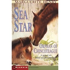 Sea Star Orph of Chincoteague