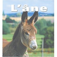 L'�ne pratique