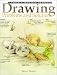 Drawing Problems and Solutions