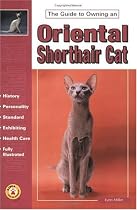 The Guide to Owning an Oriental Shorthair Cat