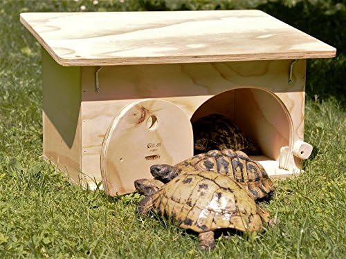 House For Tortoises with the wooden basis