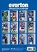 EVERTON 2010 CALENDAR (Calendar 2010)