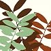 Leaf Pattern I Print by Andrea Smith- 12x12"