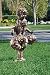 Leapfrog Garden Statue