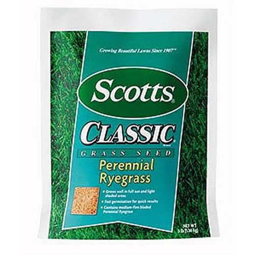 Scotts Classic Perennial Ryegrass Grass Seed 3 Pounds #17330